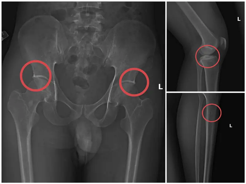 Đài PTTH Hà Nội